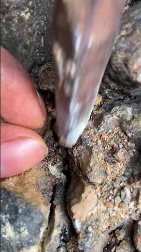 We Found Mica Powder Inside This Rock! Shiny Surprise
