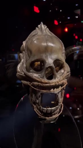 Just found the iconic ALIEN prop at the Academy Museum! This is a must-see for all horror fans. 🛸👽 Who else is obsessed with these classic scares? #ALIEN #HorrorMovies #HorrorBookTok #SciFiHorror #MovieProps #AlienSightings #AlienFans #HorrorCommunity #MuseumDiscoveries #BehindTheScenes #FilmBuffs #HorrorLovers #SciFiFans #LifeIsAVibe #CinematicHistory #ChillsAndThrills #GigerArt #SciFiClassic