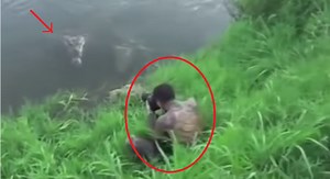 Do You Want To Be Eaten Alive