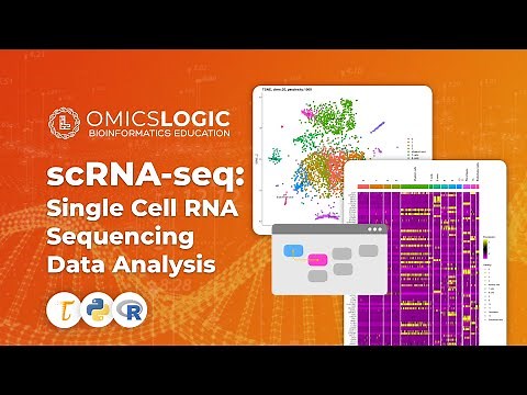 scRNA-seq: Single Cell RNA Sequencing Data Analysis