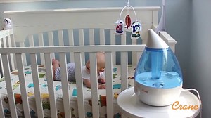 4.3K views · 20 reactions | Cows, ladybugs, elephants, piggies or polar bears - they're all part of our adorable Crane Humidifier family at The Sleep Store. They can help your family get through winter easing those sniffles, coughs and colds. If you've been eyeing these babies up, this weekend is the perfect time to grab one. | The Sleep Store | Facebook