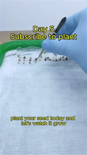 Subscribe to plant
