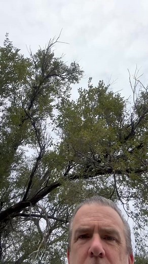 1.5K views · 64 reactions | Real Estate #9 (This week: Richmond VA, Charlotte, Atlanta, Buffalo, Lima, Cortland NY, Boston-two shows) #crushingit #luxurylifestyle #realestate | Chris Trapper | Facebook