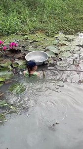 Unbelievable fish trapping system with primitive technology 😱 #fishing | Animal Traps