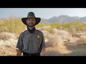 How to Get Involved at Joshua Tree National Park