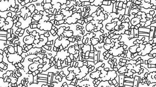 Everyone can see the sheep but you have eyes of a hawk if you can spot the chick