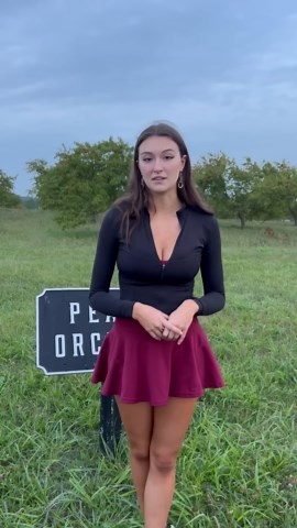 Peach orchard secrets from the Gettysburg battlefield
