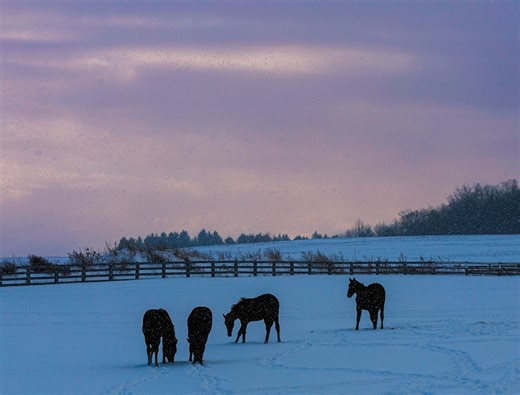 Central NY weather: Light snow, freezing rain possible Sunday night