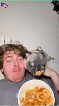 Sneaky Pranks: Prepare to Burst Out Laughing!