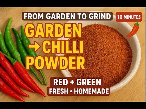 How I Turned Home-Grown Chillies into Fresh Chilli Powder — No Preservatives