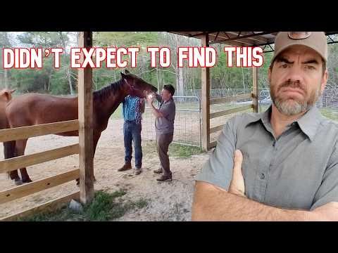 Vet Came, & This Was NOT The News We Expected