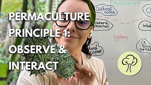 The First Permaculture Principle: Observe and Interact