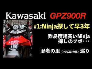 GPZ900R/#1 Ninja探して早3年! やっとみつかりました...