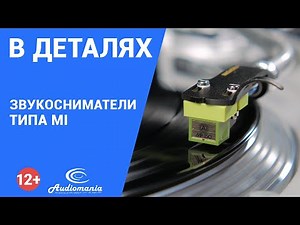 Редкий вид. Звукосниматели типа MI
