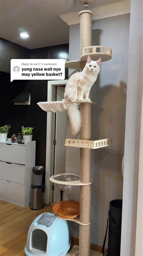 Yellow Basket Shopping Tips