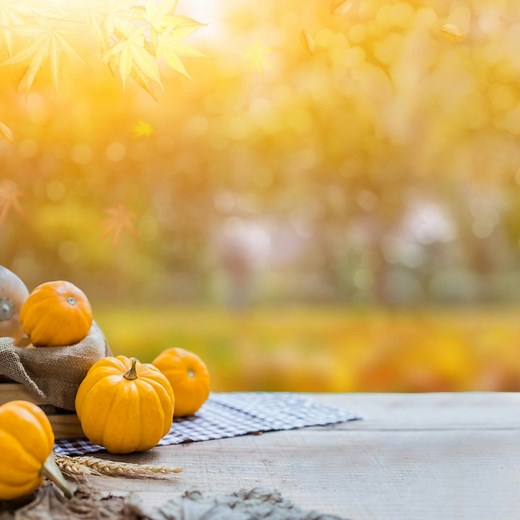 🍁🏡 Celebrate the Season with Evergreen at Costello’s Ace Hardware! 🏡🍁 Bring warmth and festive charm to your home this Thanksgiving with Evergreen’s beautiful seasonal flags and mats — the perfect way to welcome the season of gratitude! 🎉 Thanksgiving Applique Garden Flags — Starting at $11.99 🦃 Thanksgiving Burlap Garden Flags — Starting at $9.99 🍂 Thanksgiving Applique House Flags — Starting at $29.99 🏡 Sassafras Switch Mats — Starting at $12.99 ✨ Vibrant, detailed designs that celebra