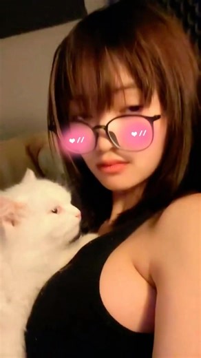 No Thoughts, Just Judgment #cat #dontlaught #funnyanimals