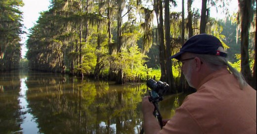 Capturing the "Sunday Morning" Moments of Nature