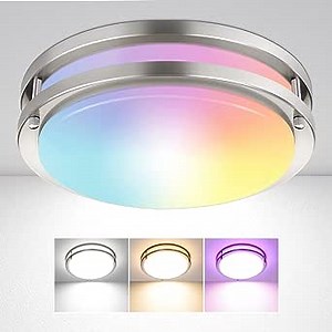 Smart Ceiling Light Flush Mount LED WiFi, 12 inch Dimmable Ceiling Light Fixture 20W RGB-2700-6500K, APP Control Compatible Alexa Google Home for Bedroom Living Room, Brushed Nickel