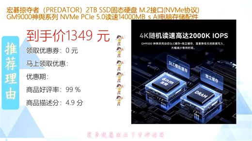 宏碁掠夺者PREDATORTBSSD固态硬盘M.2接口NVMe协议高速读写适配多种设备GM9000神舆系列带来疾速存储体验游戏办公都更高效稳定耐用性能出众