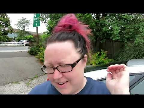 The Daily CAT VS DOG