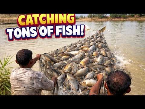 A cast net fishing traditional trap in the village