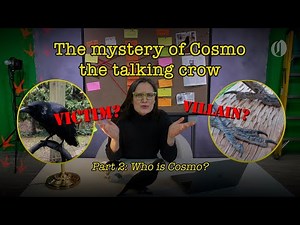 Is Cosmo the talking crow a victim or a villain?: Pt. 2