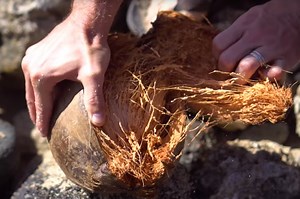 How to bust a coconut open like a boss