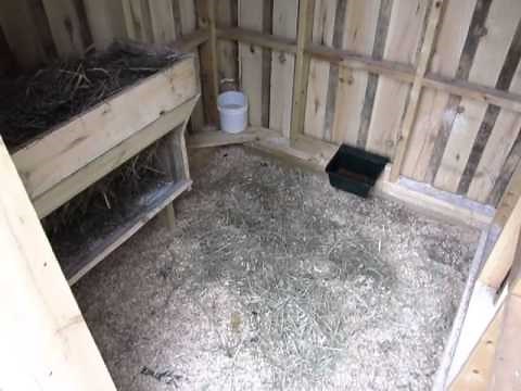 Our Nigerian Dwarf Goat Setup