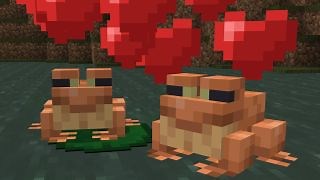 How to Add More Than 10 Players to a Realm - What Box Game