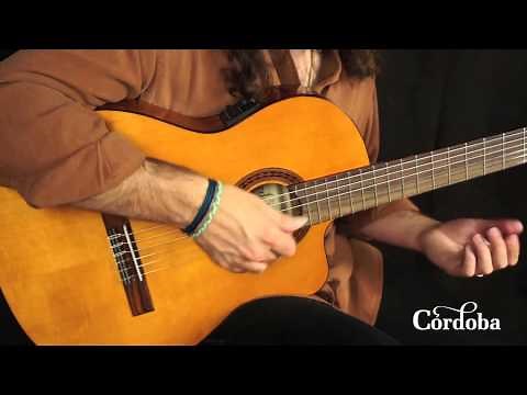 Cordoba Guitars - C5 CET Thinbody Nylon String Guitar