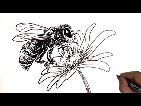Bee and Flower Drawing / How to Draw Bee and Flower.