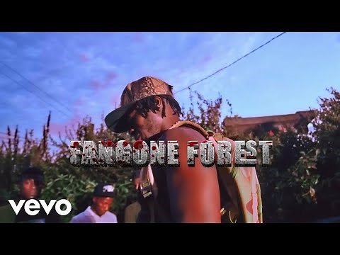 Alien Skin Official - Wewe (Official Music Video) ft. Scorpion Shabba