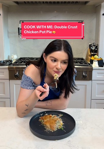 Double Crust Chicken Pot Pie Recipe to Savor