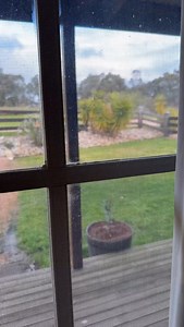 63K views · 4.5K reactions | The aliens  visited the hobby farm to study  a few Aussie critters but Ashlee was not letting any aliens take her family fury or not, it’s always a laugh out here, remember to not take life to serious and enjoy the laughs it’s what makes life worth living. Betty and Kev did not seem to worried about the invasion 藍藍#wombat #onya #wildlife #wildlifewarrior #alien #aliensarereal | Josh Neille | Facebook