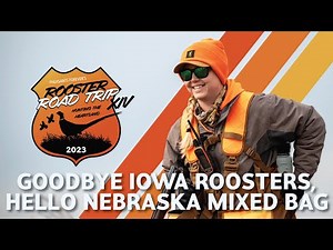 Goodbye Iowa Roosters, Hello Nebraska Mixed Bags | 2023 Rooster Road Trip Ep. 3