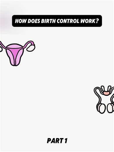 How Does Birth Control Work? - 1 #foryoupage | birth control