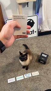 You ask she’ll answer! #badchoicesgame #bap #cat #oof #fyp | bap.kat