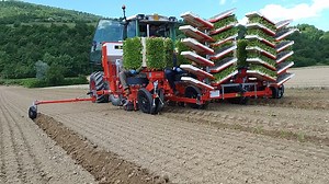 🌱 𝙏𝙤𝙗𝙖𝙘𝙘𝙤 𝙎𝙚𝙩𝙩𝙚𝙧 🌱 Tobacco Transplanting? Precision starts with #TRIUM 😏 For decades, the Tobacco Setter has symbolized tradition in tobacco cultivation. Today, we carry that legacy forward with the TRIUM and its 12-cup carousel, delivering high-performance transplanting. ⚙️ TRIUM 12-Cup Highlights: ✅ High precision and speed — up to 7.000 plants/hour per operator ✅ Perfect for tobacco fields with adjustable row spacing ✅ Labor-saving design with ergonomic operator seats ✅ Option