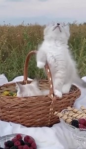 Nikome od nas nisu potrebne skupocjene stvari, da bi bili sretni... Ono što nam najviše treba je zdravlje prije svega!!!... Šačica nježnih riječi....par iskrenih ljudi.... i osmjeh naših najmilijih!!! | Stihovi i zrno mašte