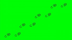 Footprints, Follow Up, Sole