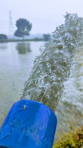 how to set up water pump in pond #shortsvideo #reels #fishpond | Fish Info | Facebook