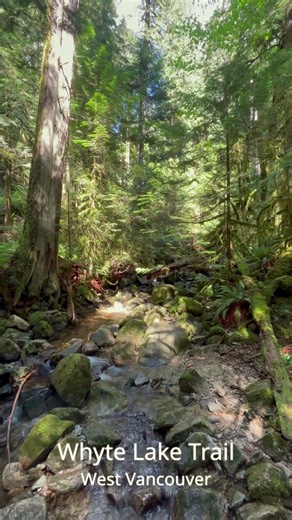 Whyte Lake Hike in West Vancouver