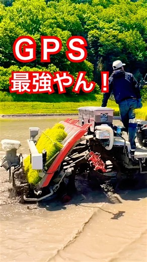 Kubota NW60S GS 田植え機 田植え作業#farming #現代農業 #automobile #kubota