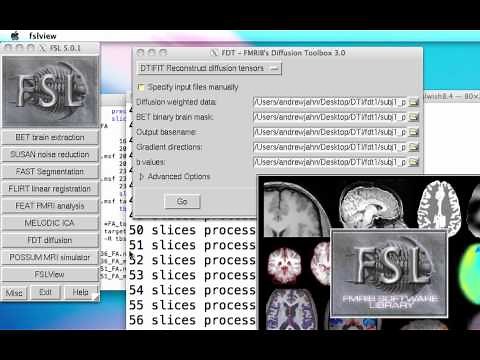 DTI Analysis, Step 3: Fit Tensors