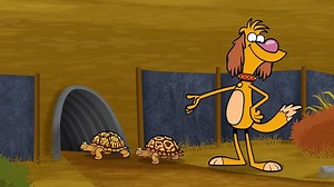 Nature Cat - The Turtle Tunnel Funnel Video | PBS KIDS