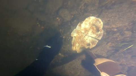 So Many ODD Treasures Found Under A Bridge Scuba Diving!