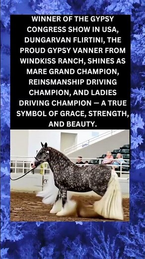 ✨ Dungarvan Flirtini – A True Champion of Grace & Power ✨