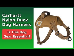 REVIEW (2026): Carhartt Nylon Duck Dog Harness. ESSENTIAL details.