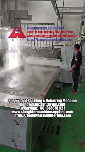 Sheep & Goat Slaughterhouse Scalding & Dehairing Line Equipment | Nanjing Hongwei Abattoir Machinery
